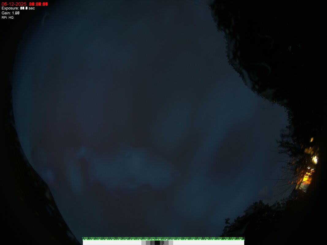 Latest Video Thumbnail