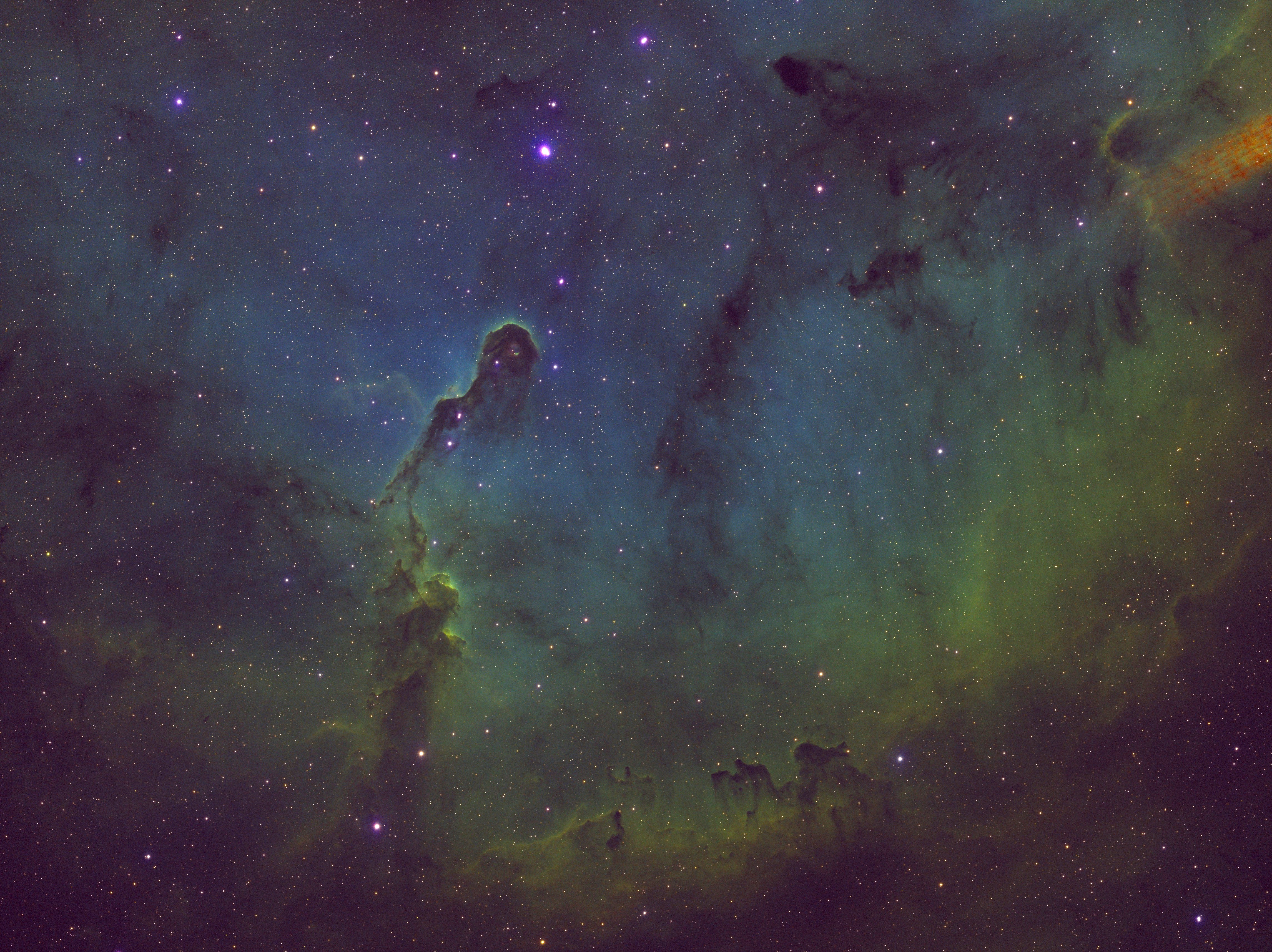 Elephants_Trunk_Nebula_2025