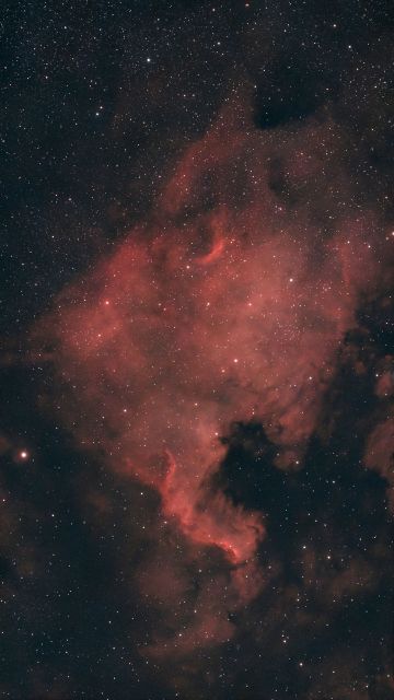 North America Nebula NGC 7000