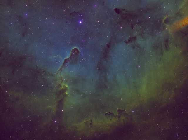 Elephants_Trunk_Nebula_2025