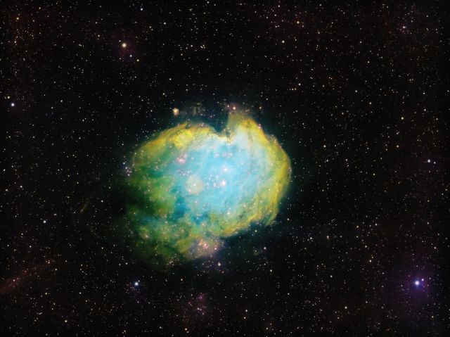 Monkey Head Nebula